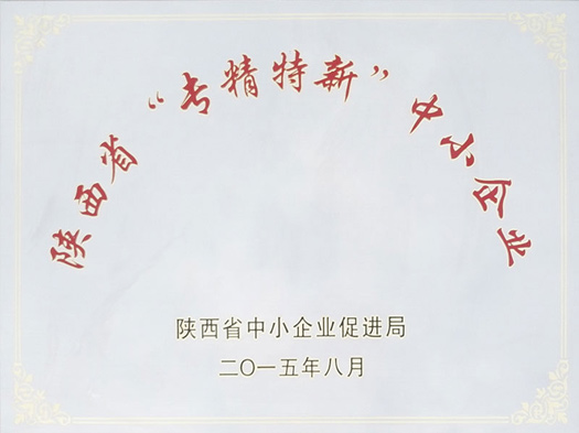 陕西省“专精特新”中小企业