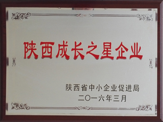 陕西成长之星企业